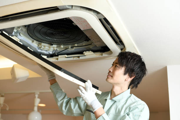 Best Ductwork Cleaning Services  in Haines City, FL